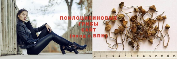 винт Нея