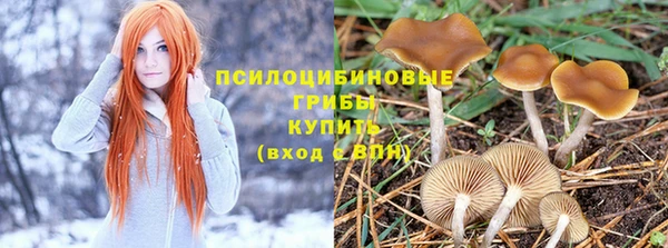 герыч Новодвинск