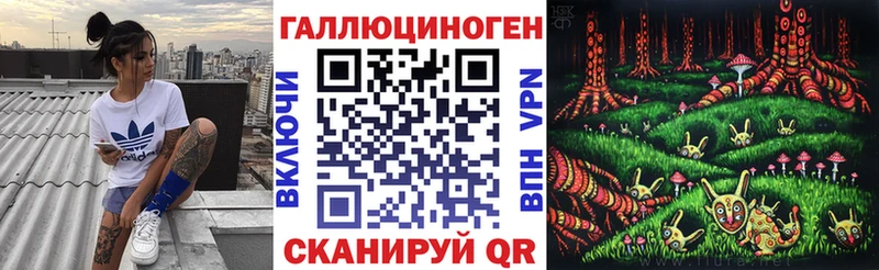 как найти закладки  Чулым  Псилоцибиновые грибы Cubensis 